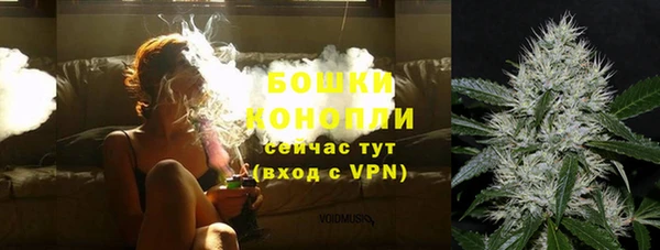прущие грибы Балахна