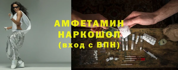 эйфоретик Няндома