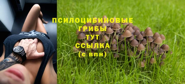 прущие грибы Балахна