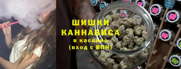 эйфоретик Няндома
