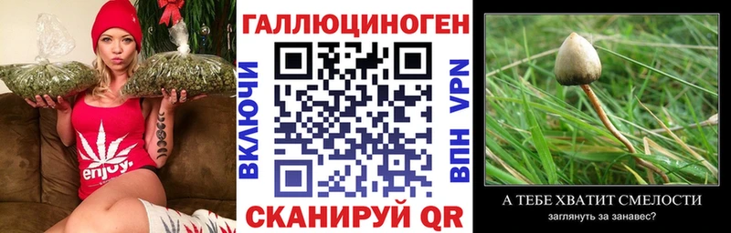 Галлюциногенные грибы мухоморы  где можно купить   Циолковский 